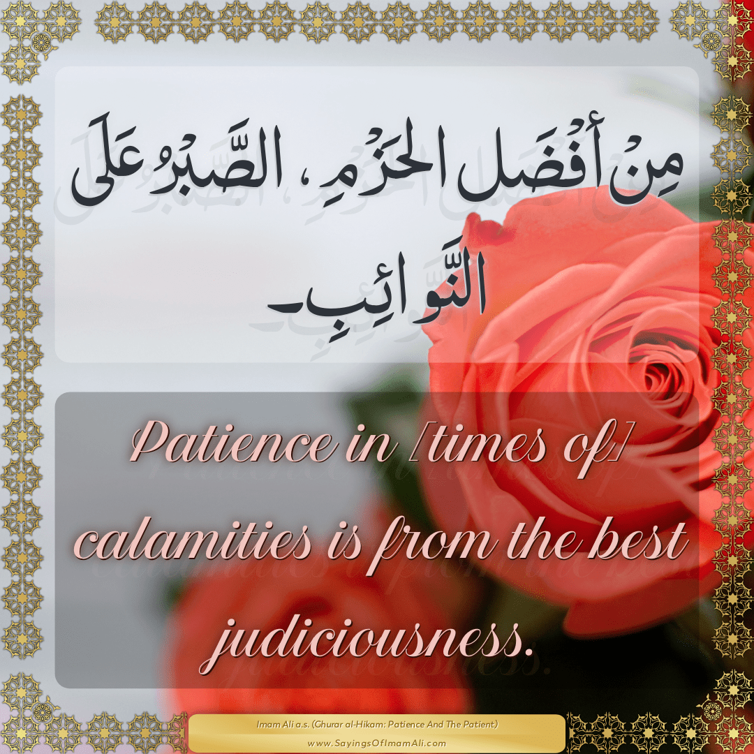 Patience in [times of] calamities is from the best judiciousness.